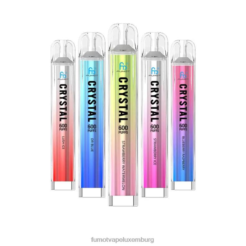 frische Minze